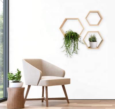 China Europe Hexagonal Wooden Bestselling Home Decoration Floating Wall Shelf for sale