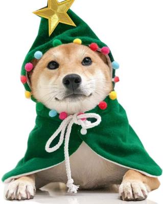 China Viable Puppy Christmas Coat with Star and Pompoms Cat Santa Cape Pet Christmas Costume for sale