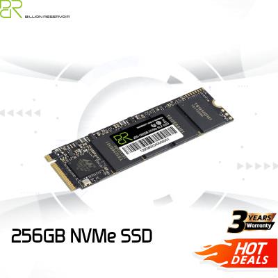 China SSD BR M2 256GB PCIe NVMe 2280 mm M.2 SSD In Factory Price High Performance M.2 NVMe SSD 256GB PCIe M.2 HDD SSD for sale