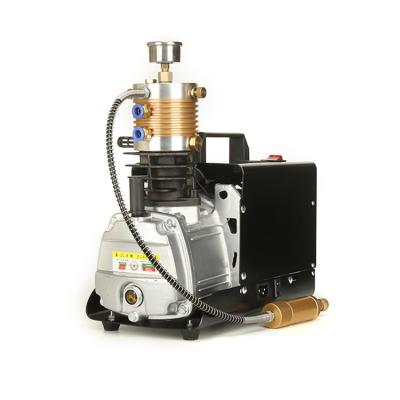 China Lubricated Air Compressor High Pressure Pump For Small Diving Breathe Cylinder for sale