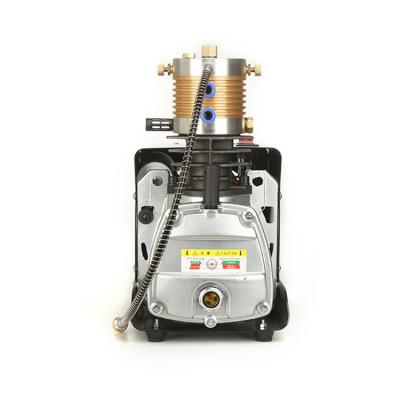 China High pressure portable pcp 4500 psi air compressor lubricated electric tank inflator for sale