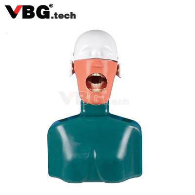 China Realistic Touch Teacher To Phantom Head Dental Simulator Oral Dental Manikin Phantom Head For Training Practice Dental Phantom Head for sale