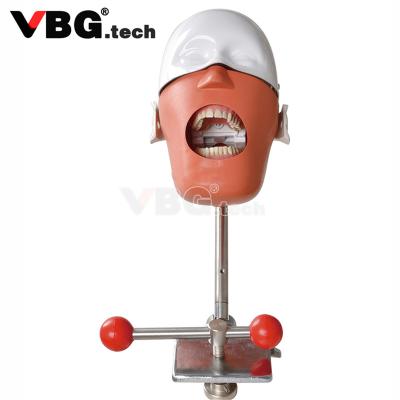 China Fix on Dental Simulator Dental Manikin Chair Dental Teeth Model Teeth Phantom Head Orthodontic Training Model For Dental Practice for sale