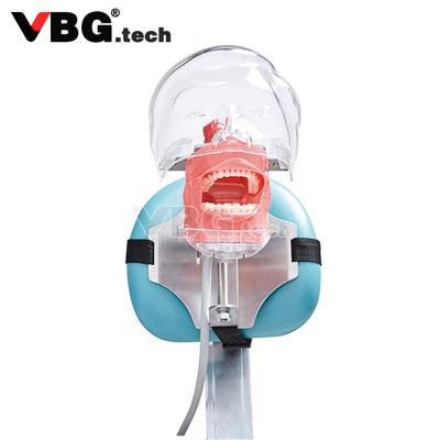 China Fix on Dental Materials Dental Manikin With Replacement Typodont Model Head Teaching Chair Dental Teeth Main Dental Teeth for sale