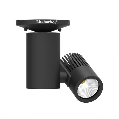 China Modern New Style 24W 120V-277V COB LED Wall Mount Track Light from Liteharbor for sale