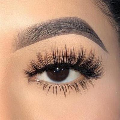 China 2021 NEWEST Natural 5 Pairs Hot Faux Mink Eyelashes With Silk Lashes And Silk False Eyelashes False Eyelashes for sale