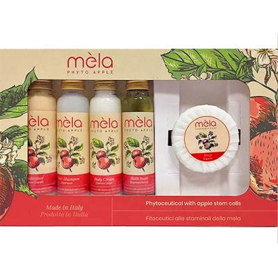 China Hotel Gift Set Organic Apple Mela Bath Gift Set Natural Pure Amenities for sale