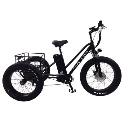 China 2018 Popular Europe Disc Brake Adult Electric Cargo Tricycle With 6 Gears (FP-ETRI18001) for sale