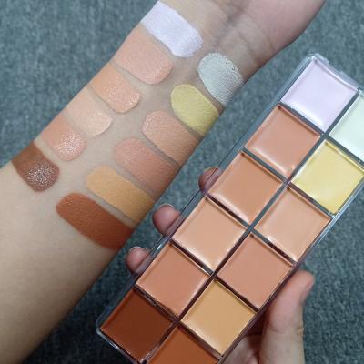 China Acne/Spot Removing 12 Color Concealer Palette High Quality Vegan Makeup Face Concealer For Dark Skin for sale