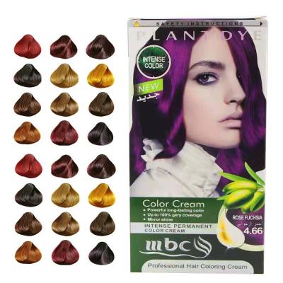 China Manufacturer Professional Private Label Hair Dye Product Price Easy Coloring Salon Use Low Ammonia Hair Color Cream for sale