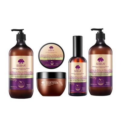 China OrganicPrivate Label OEM&ODM 300ml/500ml/800ml Nourishing Argan Oil Hair Shampoo Argan Oil Shampoo Conditioner for sale