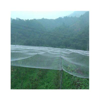 China Chain Trap Net for Catching Birds Making Machine Te koop