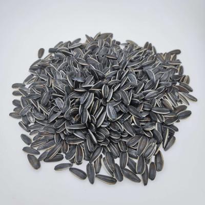 China Original Factory Fresh Direct Supply We Are Looking For Global Agents Full Sun Sunflower Seeds for sale