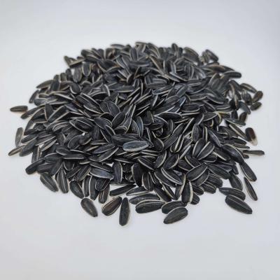 China Fresh direct supply from the point of origin the factory cheap recruitment of agents sunflower seeds for birds for sale