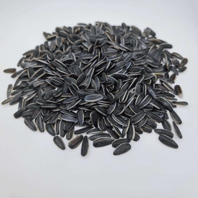 China Fresh Sincerely Recruiting Agents Low Price Plants 12500 Mt Sunflower Seeds for sale