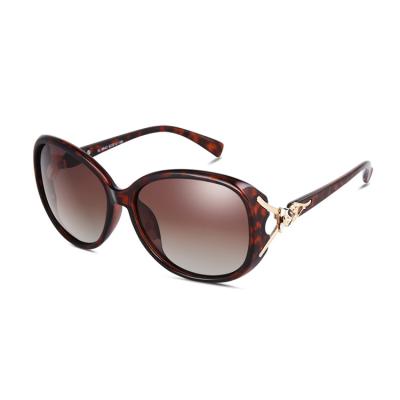 China Custom Women's Plastic Sunglasses Italy Designer UV400 Sun Glass Promotion Fashion Sunglasses DHK8842 Customizable for sale