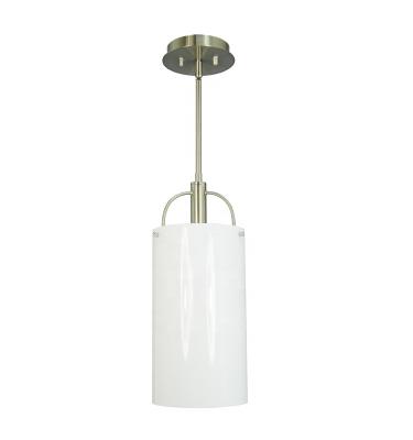 China Lighting Height Can Be Adjustable Factory Kitchen Hanging Lights, Modern Brushed Nickel Pendant Light For Home And Hotel for sale