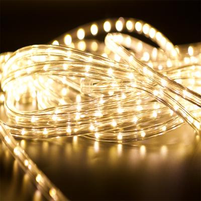 China Led Rope Strip Light 100m RGB Color 110v220v Single Color 110v220v Flexible Waterproof Decoration Flexible Ribbon Led Rope Light With Power Cord for sale