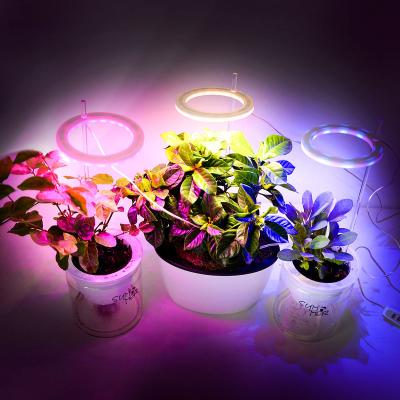 China LED Grow Light Angel Ring Grow Light DC5V USB Phytolamp For Plants Led Full Spectrum Lamp For Home Flower Indoor Plant Seedlings Succulet for sale