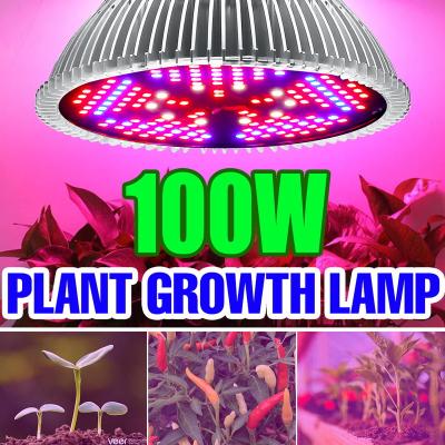 China Led Plant Grow Light LED Phyto Grow Light Full Spectrum Phytolamp E27 Plant Bulb E14 UV Lamp For Hydroponic Greenhouse Flower Seed Grow Lights LED for sale