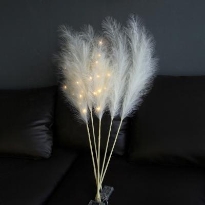 China Environmental protection 115cm LED green pampas grass pampas grass fluffy cream color pampas grass for decor wedding home decor for sale