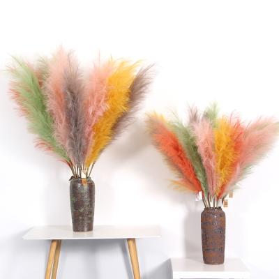 China The Environmental Protection Green Fake Pampas Grass The Tulip Color Artificial Soft Fluffy Pampas Grass Decor Indoor Design for sale