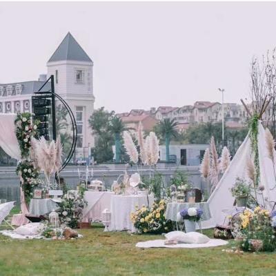 China Environmental protection artificial flower green pampas grass most popular products for home decoration for sale