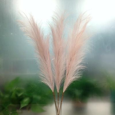 China 70cm 3# Environmental Protection Artificial Pampas Grass Home Wedding Home Decoration Building Flowers Dirty Pink Green Decoration for sale