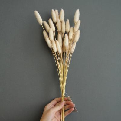 China Wholesale High Quality Immortal Artificial Flowers Bunny Tail Grass For Easter Decor for sale