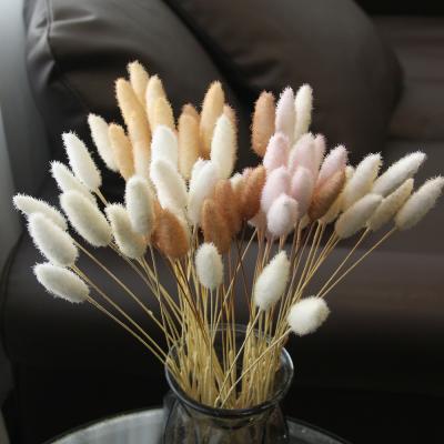 China Immortal Plant Direct Shipping Artificial Rabbit Tail Flower Bouquet For Wedding Decoration for sale