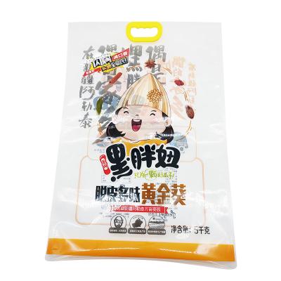 China 5KG Moisture Proof Printed Doypack Sunflower Seeds Sack Plastic Packaging Bag With Handle for sale