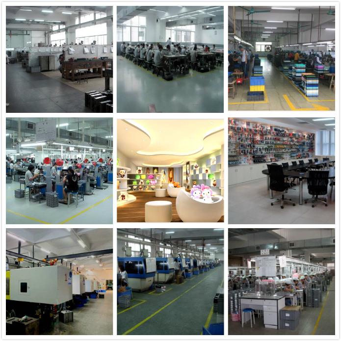 Verified China supplier - Dongguan Xinba Pet Products Co., Ltd.