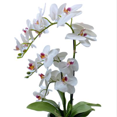 China High Simulation Artificial Richicgarden Phalaenopsis Orchid Butterfly Flower Plant Potted For Indoor Home Decoration Floral Arrangements for sale