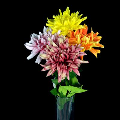 China Decorative Dahlia Flower Artificial Real Touch High Simulation Fake Richicgarden Fake Flower Decoration Simulation for sale