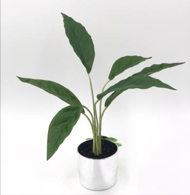 China Richicgarden Tropical Potted Small Artificial Plant Desk Table Centerpieces In Pot Green Anthurium Leaf for sale