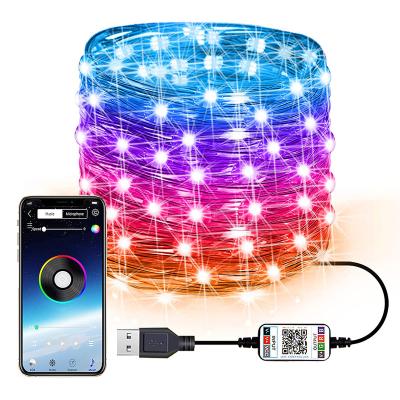 China Theme Park APP Control Outdoor Holiday Lights For Christmas Decoration USB Powered RGB LED Fairy String Lights Waterproof for sale