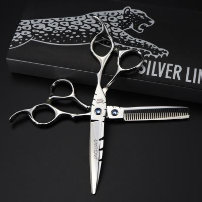 China New Fashion 5.5/6.0 Inch SY Sliver Design Sliver Flat Tooth Hair Thinning Scissors Beauty Design Barber Scissors for sale