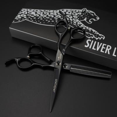 China New Fashion 6.0 Inch Black Screw Design Flat Tooth Hair Scissors Thinning Scissors Beauty Design Barber Scissors for sale