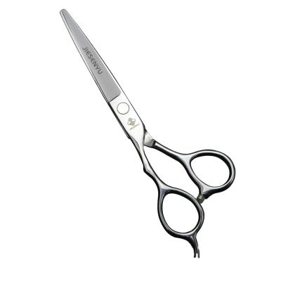 China New Fashion 6.0 Inch Flat Scissors Tooth Hair Scissors Left Hand Thinning Scissors Design Beauty Hairdresser FL-01 for sale