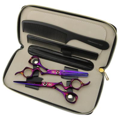 China High Grade Style 6.0 Inch FWB Beauty Barber Flat Professional Barber Hair Thinning Scissors Set for sale