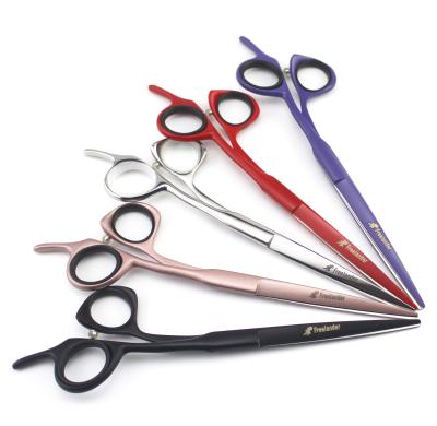 China 7.0 Inch Flat JS Freelander Personality Color Blind Hole Hairdressing Scissors Viable Pet Scissors for sale