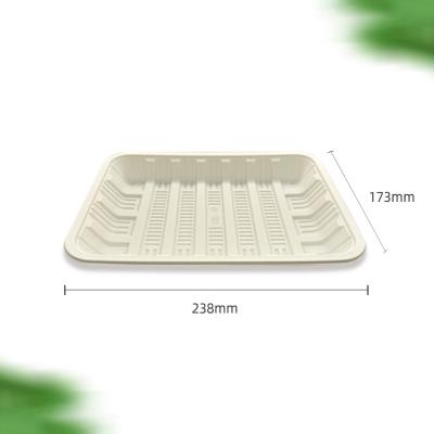 China Disposable Eco-Friendly Cornstarch Tray Lunch Box Biodegradable Disposable Tableware for sale