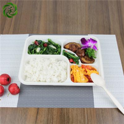 China Factory Sale Biodegradable Salad Eco - Friendly Cornstarch Degradable Take Away Food Packaging Lunch Box Set 4 Compartment Lunch Box for sale