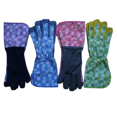 China Landscape Women Garden Long Cuff Leather Gardening Gloves Work Breathable Leather Housework Protector for sale