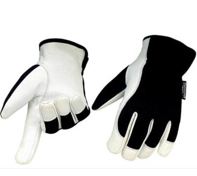 China Agriculture genuine leather warm working gloves for best hand protection for sale