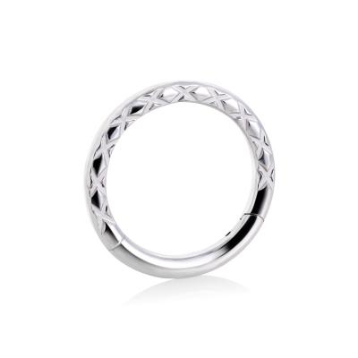 China 16G punks ASTM F136 Titanium Pihua Sniff Ring Tragus Ear Hole Nose Body Jewelry Multi-row Ring Numerical Control Hinge Segment for sale