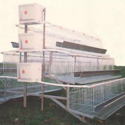 China Chicken Pakistan Layer Chicken Cage Poultry Farm for sale