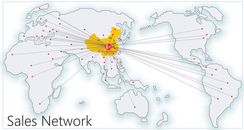 Geverifieerde leverancier in China: - KOYOSONIC POWER CO LTD