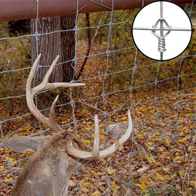 China Fence Ring Lock Deer Fixed Knot Fence For Animal Farm for sale