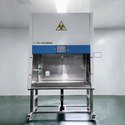 Cina clean room purifying equipment class il a2 biological safety cabinet in vendita